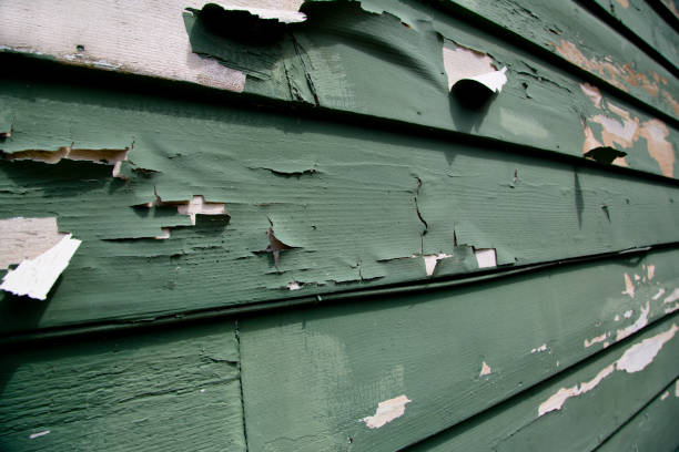 Affordable siding repair and maintenance services in Semmes, AL