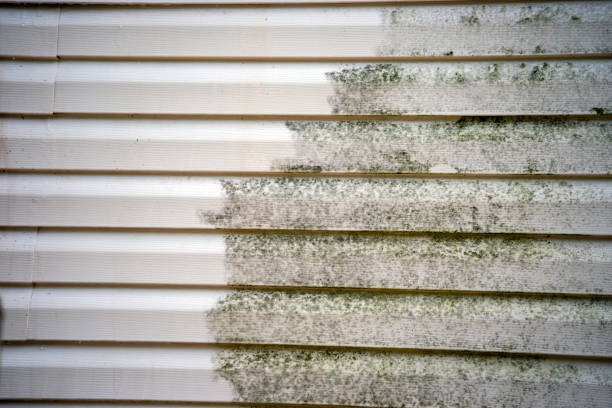 Historical Building Siding Restoration in Semmes, AL