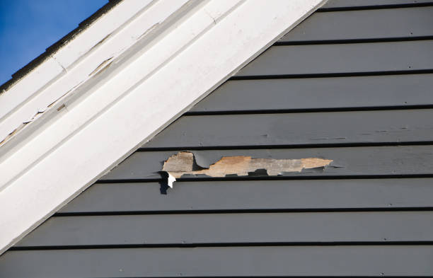 Best Weatherproofing and Sealing  in Semmes, AL