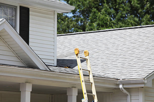 Best Siding Painting and Refinishing  in Semmes, AL